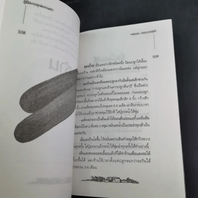 คู่มือการปลูกผักสวนครัว เล่ม 1 - เจนธรรม นำกระบวนยุทธ์ รูปที่ 16