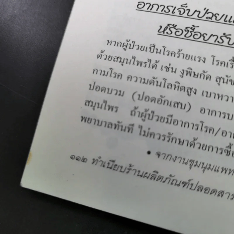 ทำเนียบร้านผลิตภัณฑ์ปลอดสารพิษและสมุนไพรในประเทศไทย ทำเนียบร้านมังสวิรัติ และเจในประเทศไทย รูปที่ 14