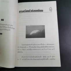 อายุวัฒนะ คุณภาพชีวิตของผู้สูงอายุ - ศ.น.พ.ประเวศ วะสี รูปที่ 12