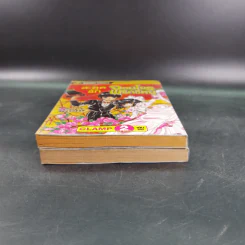 สะดุดรักจอมโจรพริกขี้หนู 2 เล่มจบ - Clamp รูปที่ 6