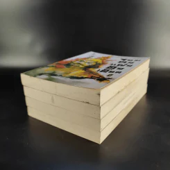 จอมคนแผ่นดินเดือด เล่ม 2,3,4 รูปที่ 6