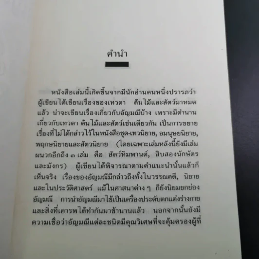 อัญมณี นิยาย - ส.พลายน้อย รูปที่ 10