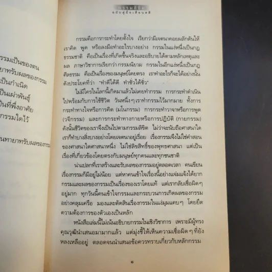 กรรมลิขิต ฉบับคู่มือเตือนสติ - ศีลปาโล รูปที่ 13