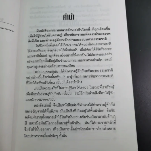 คริสตัล พลังแห่งสีสันอัญมณี - ศีขริน รูปที่ 11