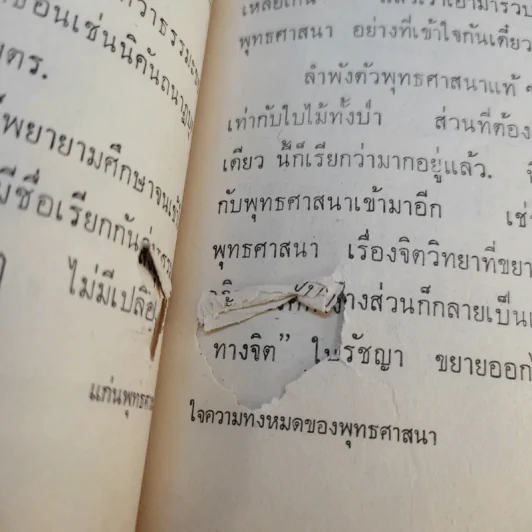 แก่นพุทธศาสน์ - พุทธทาสภิกขุ รูปที่ 19