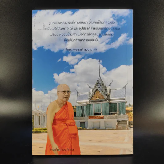 พระราชภาวนาโกศล (อนันต์ พทธญาโณ) รูปที่ 2
