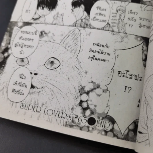 การ์ตูนวาย สุดที่รัก Super Lovers เล่ม 1-3 รูปที่ 16