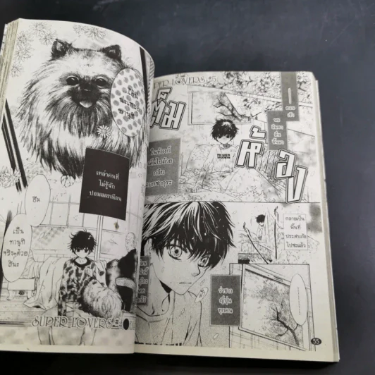 การ์ตูนวาย สุดที่รัก Super Lovers เล่ม 1-3 รูปที่ 13