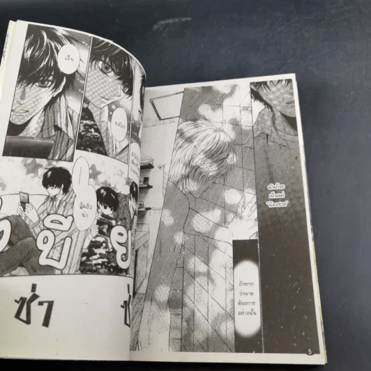 การ์ตูนวาย สุดที่รัก Super Lovers เล่ม 1-3 รูปที่ 18