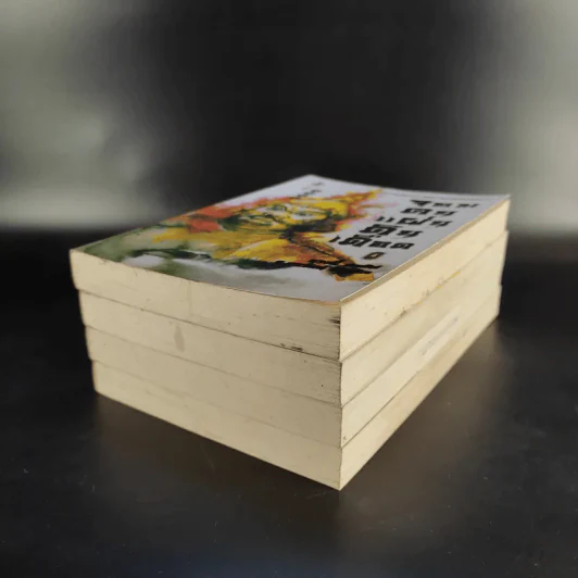 จอมคนแผ่นดินเดือด เล่ม 2,3,4 รูปที่ 6