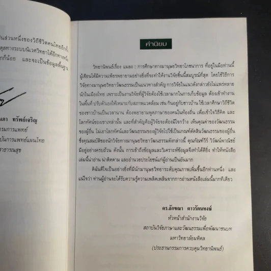แมลง อาหารมนุษย์ในอนาคต รูปที่ 10