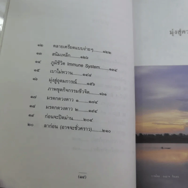 กูแน่ - สาทิส อินทรกำแหง รูปที่ 12