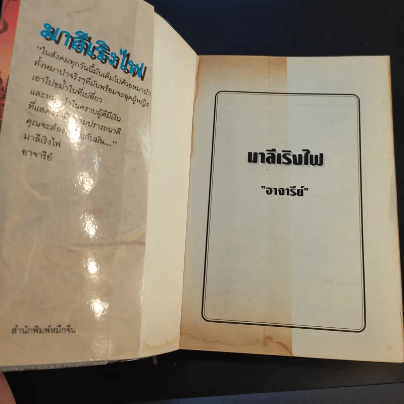 มาลีเริงไฟ - อาจารีย์ รูปที่ 8