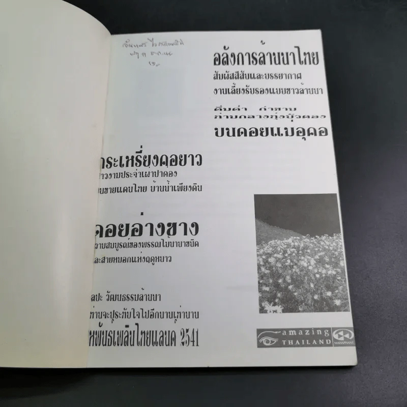 อลังการล้านนาไทย สัมผัสสีสันและบรรยากาศ งานเลี้ยงรับรองแบบชาวล้านนา รูปที่ 7