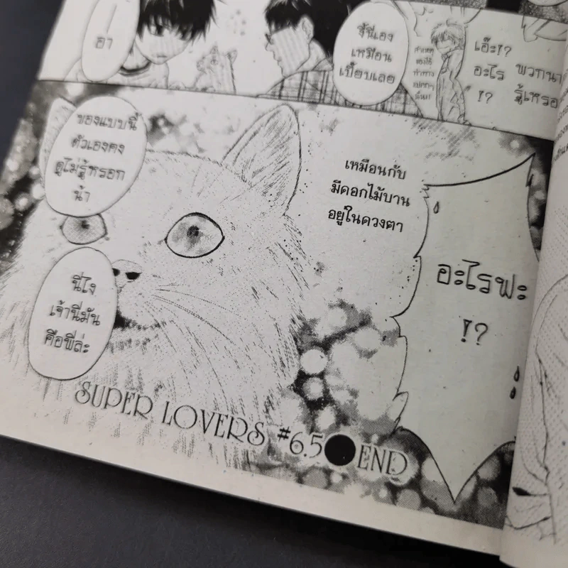 การ์ตูนวาย สุดที่รัก Super Lovers เล่ม 1-3 รูปที่ 16