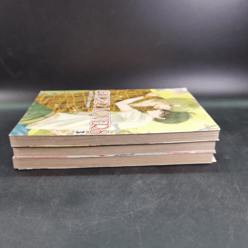 การ์ตูนวาย สุดที่รัก Super Lovers เล่ม 1-3 รูปที่ 5