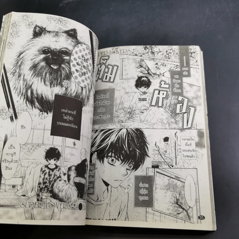 การ์ตูนวาย สุดที่รัก Super Lovers เล่ม 1-3 รูปที่ 13