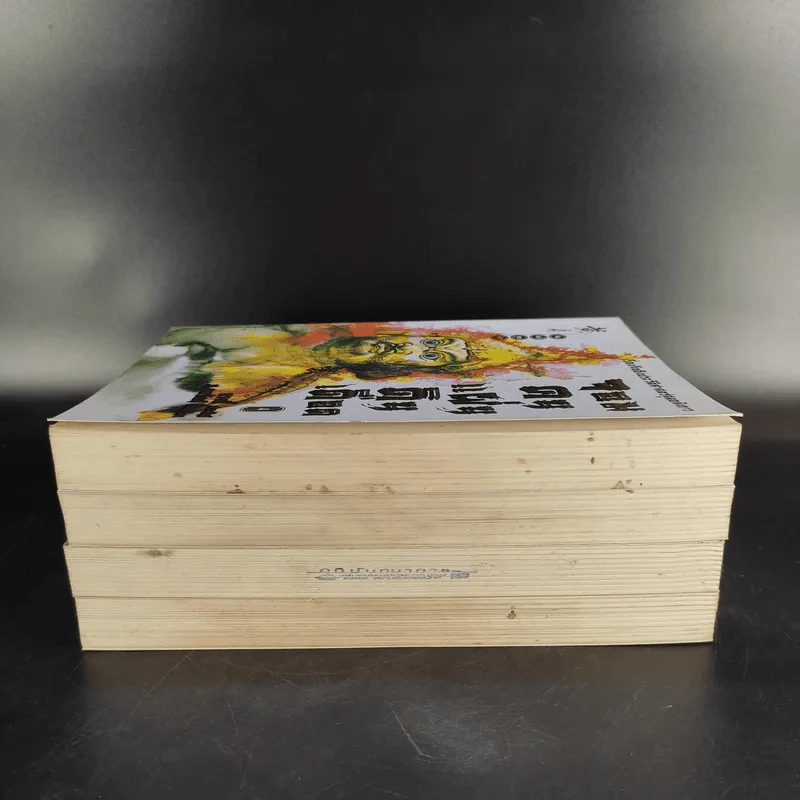 จอมคนแผ่นดินเดือด เล่ม 2,3,4 รูปที่ 4