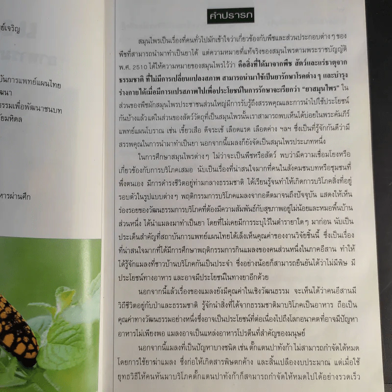 แมลง อาหารมนุษย์ในอนาคต รูปที่ 9