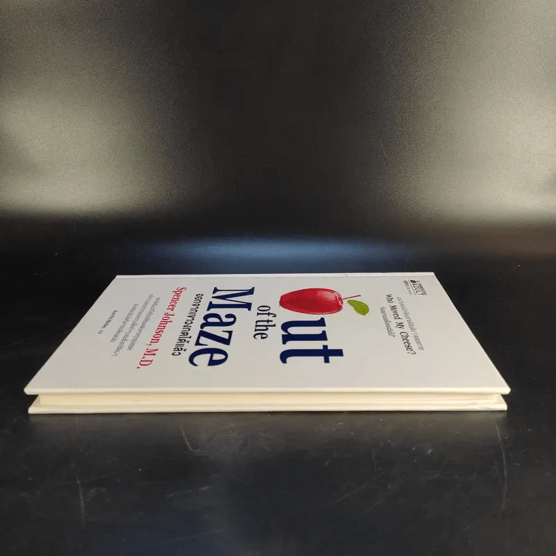 Out of the Maze ออกจากเขาวงกตได้แล้ว - Spencer Johnson รูปที่ 5