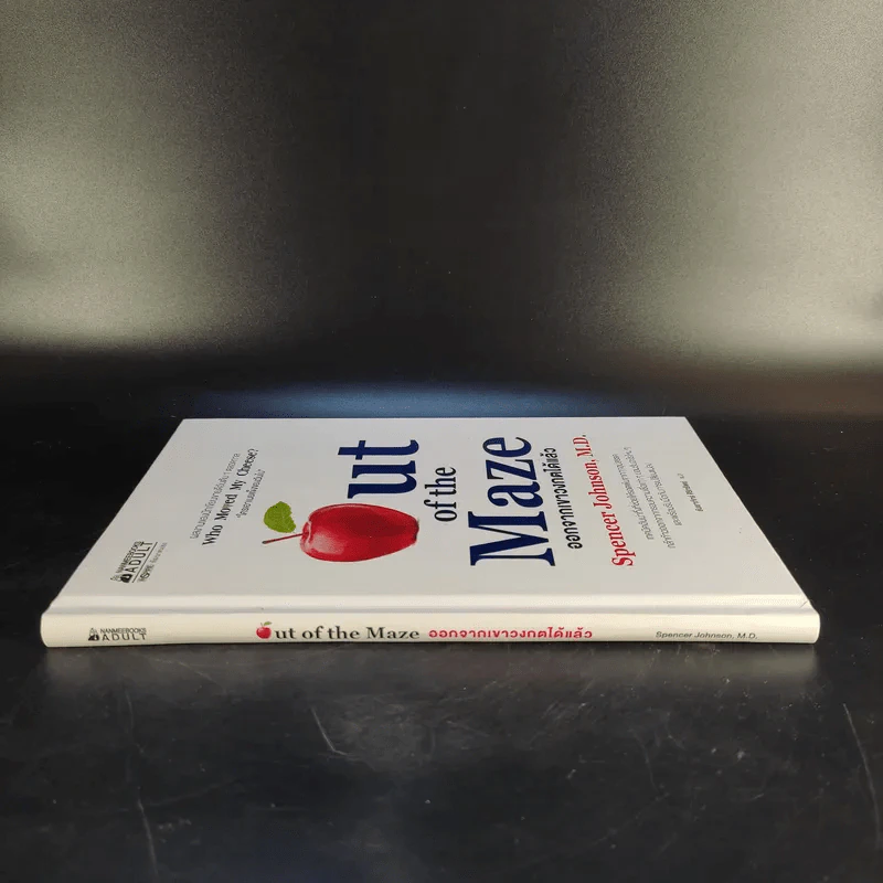 Out of the Maze ออกจากเขาวงกตได้แล้ว - Spencer Johnson รูปที่ 3