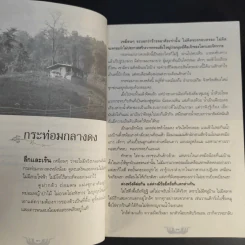 ร่มเรือนกาแล - มาลา คำจันทร์ รูปที่ 12