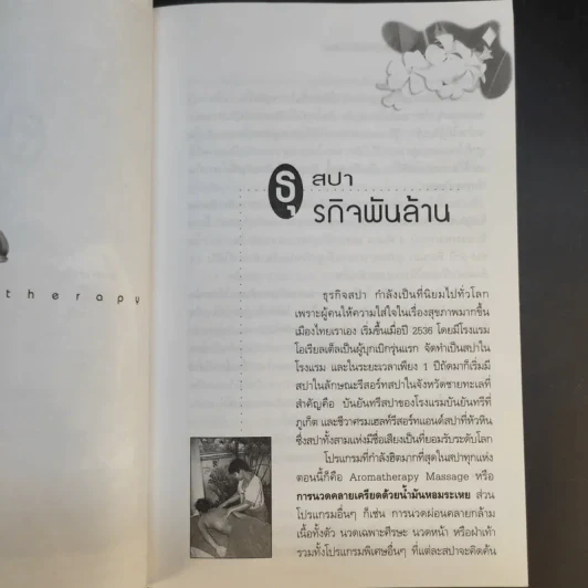 Spa & Aromatherapy Therapy ธุรกิจน้ำมันหอมระเหยบำบัดเงินล้าน - วันเฉลิม จันทรากุล รูปที่ 13