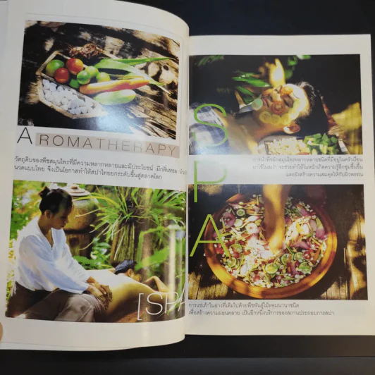Spa & Aromatherapy Therapy ธุรกิจน้ำมันหอมระเหยบำบัดเงินล้าน - วันเฉลิม จันทรากุล รูปที่ 12