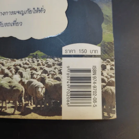 Wwoof เด็กเลี้ยงแกะ 9 เดือน 3 หมื่นบาท ในนิวซีแลนด์ - ดนัย วิทยานที รูปที่ 14