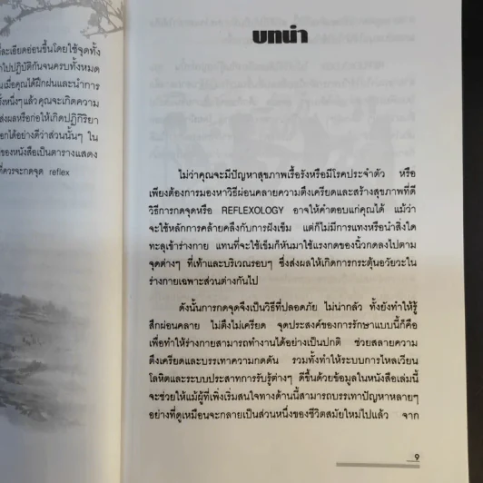 กดจุด มือ-เท้า บรรเทาโรค - ปาจรีย์ นุพงษ์ รูปที่ 12