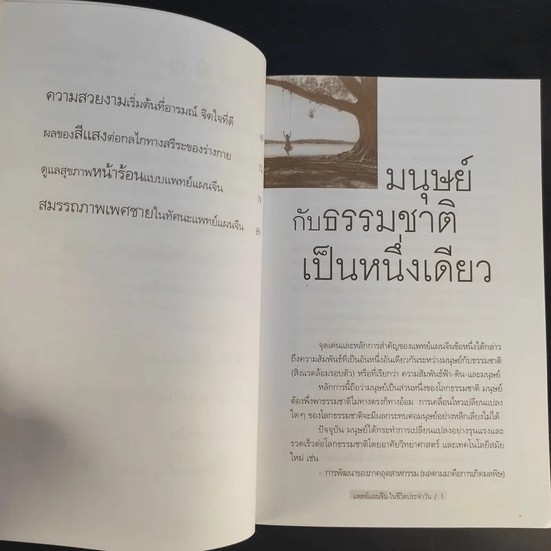 กินอยู่อย่างสมดุลตามหลักแพทย์จีน - นายแพทย์ภาสกิจ (วิทวัส) วัณนาวิบูล รูปที่ 12