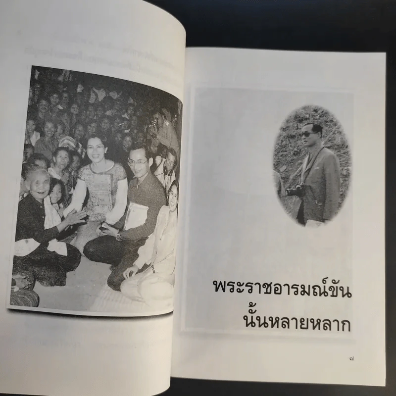 พระราชอารมณ์ขัน - วิลาศ มณีวัต รูปที่ 12