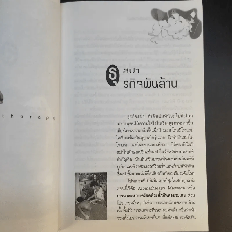 Spa & Aromatherapy Therapy ธุรกิจน้ำมันหอมระเหยบำบัดเงินล้าน - วันเฉลิม จันทรากุล รูปที่ 13