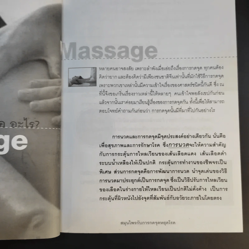 สมุนไพรกับการกดจุดหยุดโรค - อ.ทวีศักดิ์ ทวีสินธุ์สุข รูปที่ 12