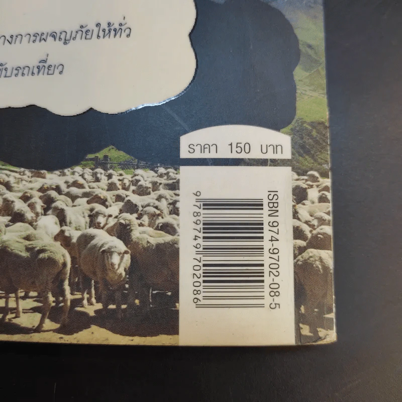 Wwoof เด็กเลี้ยงแกะ 9 เดือน 3 หมื่นบาท ในนิวซีแลนด์ - ดนัย วิทยานที รูปที่ 14