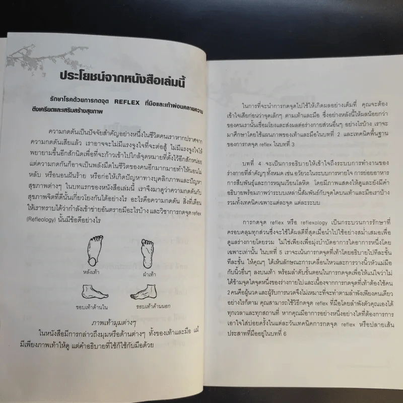 กดจุด มือ-เท้า บรรเทาโรค - ปาจรีย์ นุพงษ์ รูปที่ 11