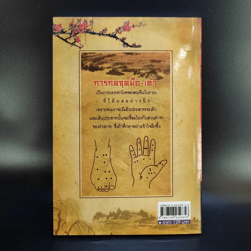 กดจุด มือ-เท้า บรรเทาโรค - ปาจรีย์ นุพงษ์ รูปที่ 2