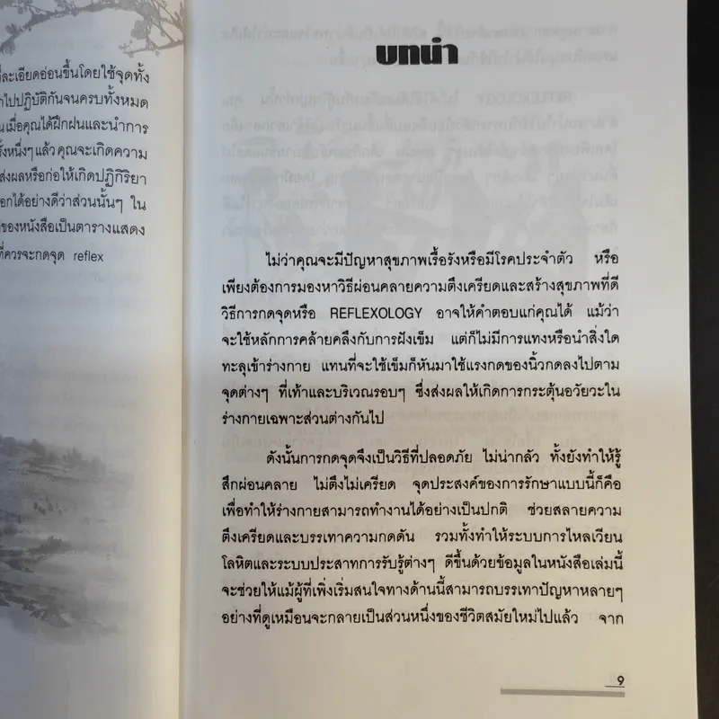 กดจุด มือ-เท้า บรรเทาโรค - ปาจรีย์ นุพงษ์ รูปที่ 12