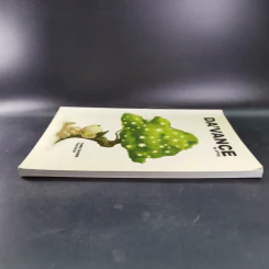 Da'Vance By A'Ping Turbo Course หนังสือเรียนภาษาไทย-สังคม อาจารย์ปิง รูปที่ 5