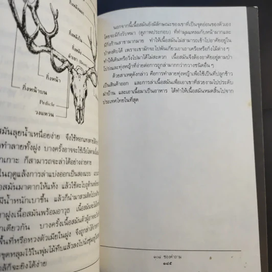 108 ซองคำถาม เล่ม 1 รูปที่ 8