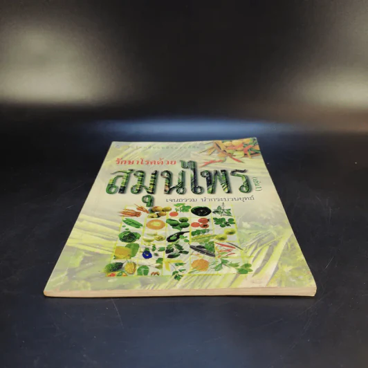 รักษาโรคด้วยสมุนไพร เล่ม 1 - เจนธรรม นำกระบวนยุทธ์ รูปที่ 8