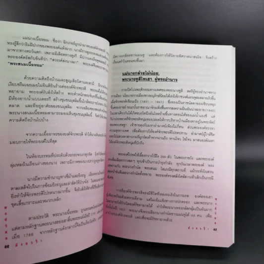 หงส์ร่อน มังกรรำ - พีระ บุญจริง แปล รูปที่ 16