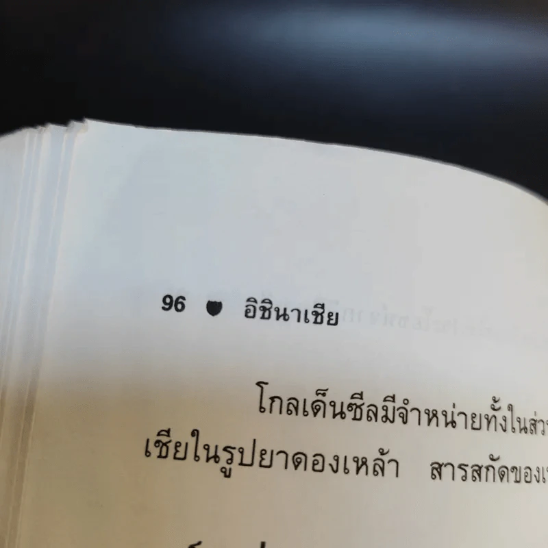 ชุด อาหารและสุขภาพ อิชินาเชีย - ศักดิ์ บวร รูปที่ 12