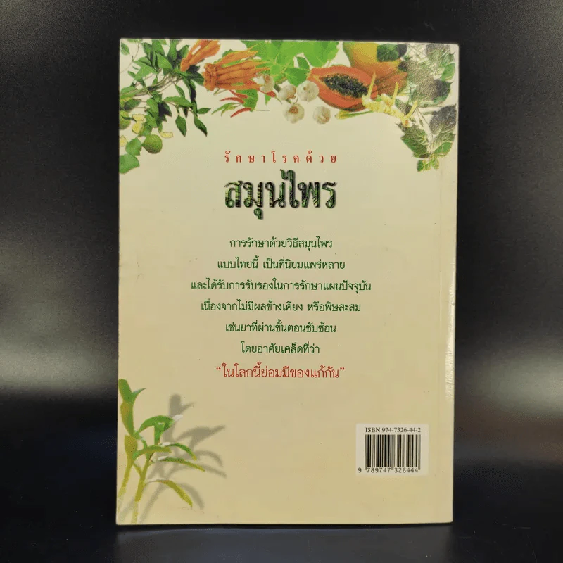 รักษาโรคด้วยสมุนไพร เล่ม 1 - เจนธรรม นำกระบวนยุทธ์ รูปที่ 2