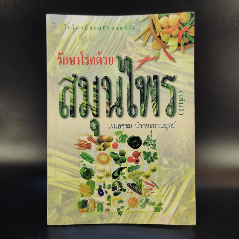 รักษาโรคด้วยสมุนไพร เล่ม 1 - เจนธรรม นำกระบวนยุทธ์ รูปที่ 1