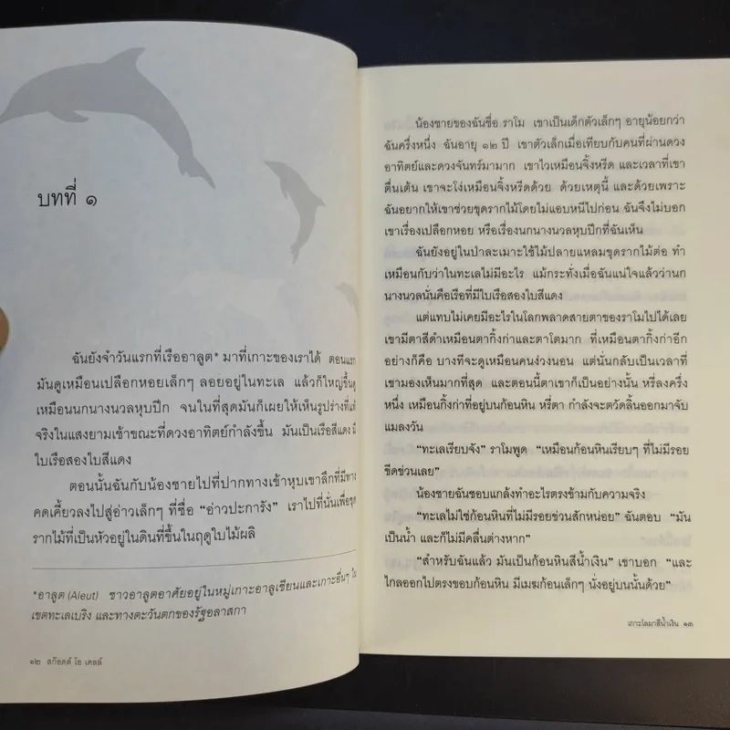 เกาะโลมาสีน้ำเงิน Island of the Blue Dolphins - Scott O'Dell รูปที่ 13