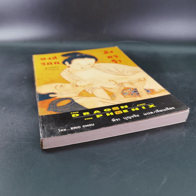 หงส์ร่อน มังกรรำ - พีระ บุญจริง แปล รูปที่ 4