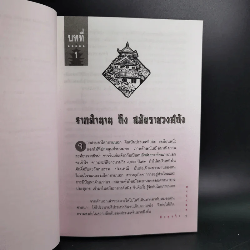 หงส์ร่อน มังกรรำ - พีระ บุญจริง แปล รูปที่ 15