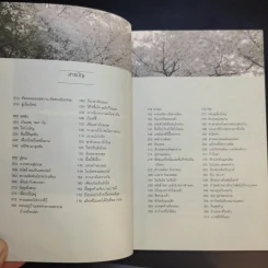 เกาหลีใต้ที่นอน - นัท ศุภวาที รูปที่ 9