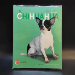 ชิวาวา Chihuahua - แพทย์หญิงจินตนา คงทวีกุล รูปที่ 1